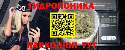 стафф Нальчик