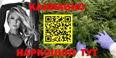 гидропоника Новозыбков