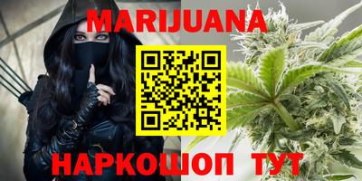 гидропоника Новозыбков