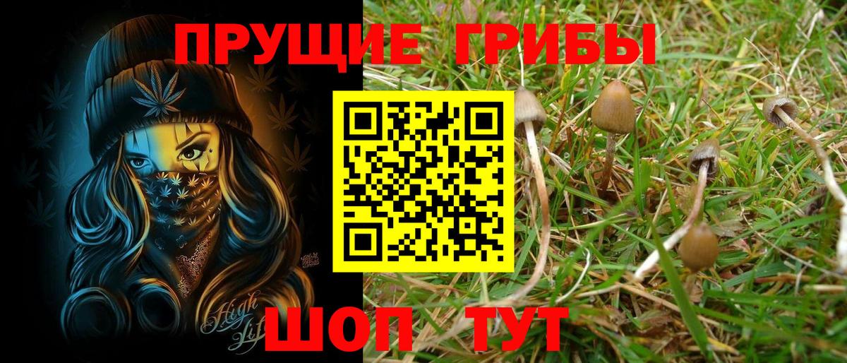 наркота  Галлюциногенные грибы Psilocybine cubensis  Вход с VPN  Усолье-Сибирское 