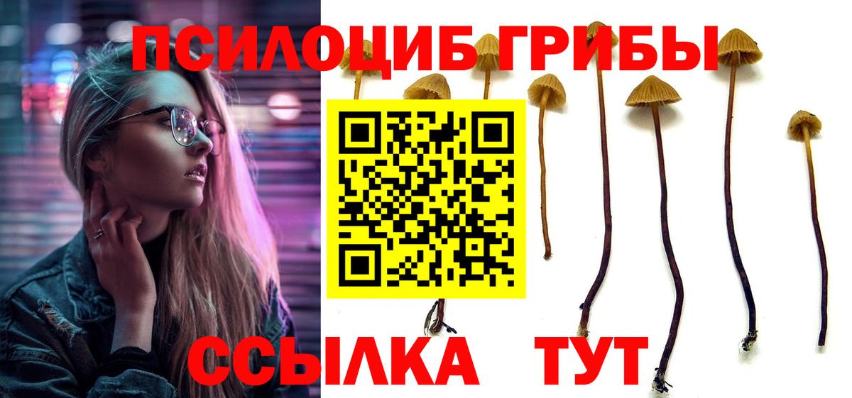 Галлюциногенные грибы Magic Shrooms Усолье-Сибирское
